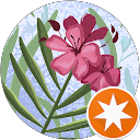 Rosareseñer profile picture
